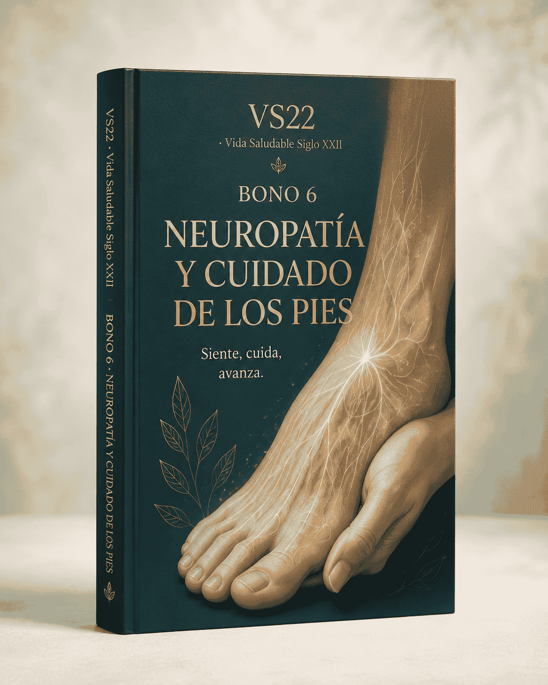 Portada de Neuropatía y cuidado de los pies